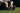 What Are Earthing Shoes