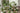 25 Best Plants for Indoor Air Purification